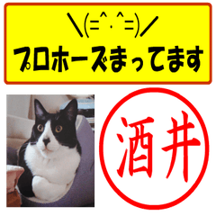 Lineスタンプ はんこだポン酒井様用 顔文字と猫写真付 40種類 1円